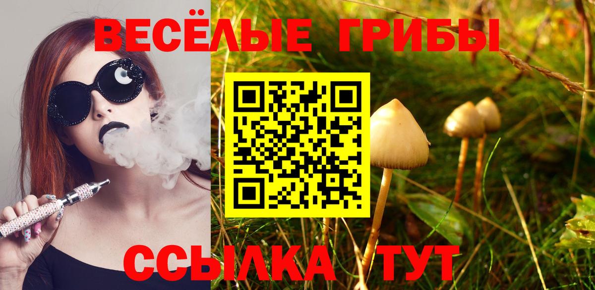 Гурьевск  Галлюциногенные грибы ЛСД  Вход с VPN 